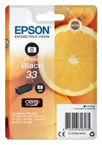 INKTCARTRIDGE EPSON 33 T3341 FOTO ZWART