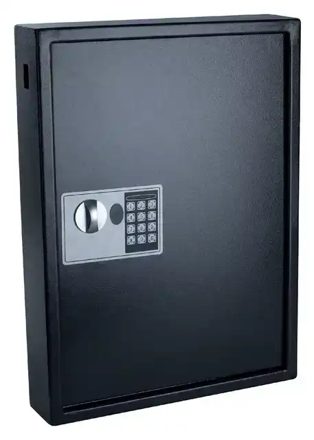 SLEUTELKAST PAVO SECURITY 50 HAKEN