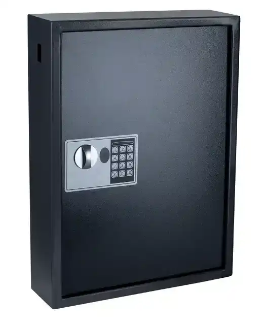SLEUTELKAST PAVO SECURITY 100 HAKEN