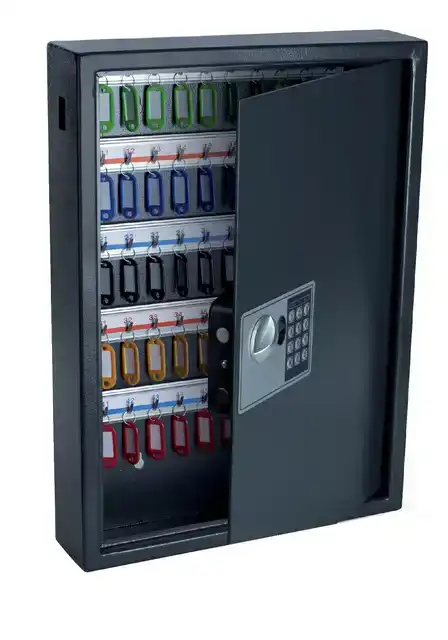 SLEUTELKAST PAVO SECURITY 100 HAKEN