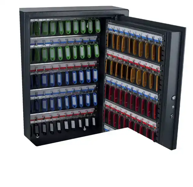 SLEUTELKAST PAVO SECURITY 100 HAKEN