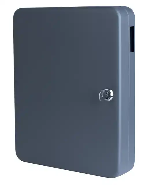 SLEUTELKAST QUANTORE BASIC 54 HAKEN
