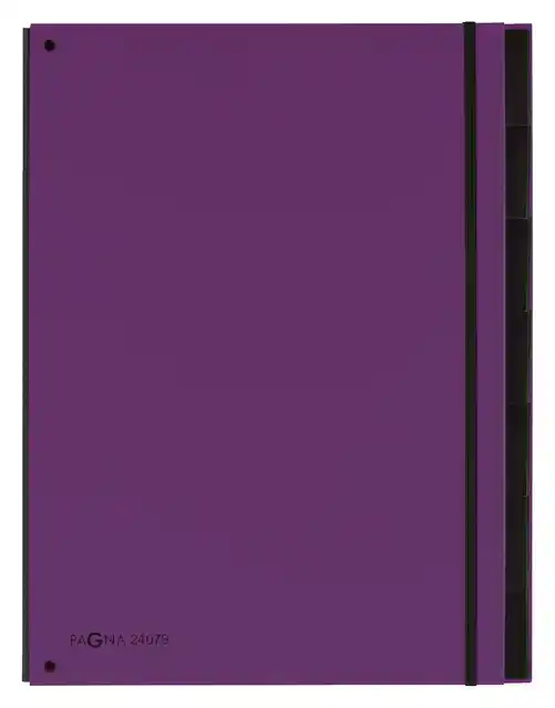 SORTEERMAP PAGNA TREND 7TAB A4 LILA