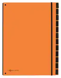 SORTEERMAP PAGNA TREND 12TAB A4 ORANJE