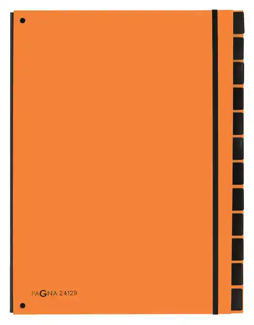 SORTEERMAP PAGNA TREND 12TAB A4 ORANJE