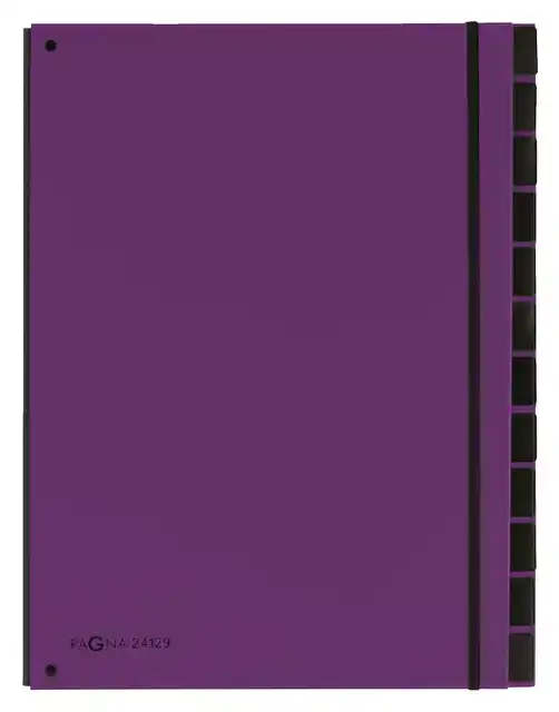 SORTEERMAP PAGNA TREND 12TAB A4 LILA