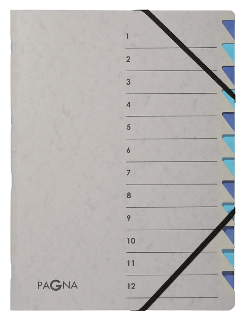 SORTEERMAP PAGNA EASY A4 12 TABS LBL/BL