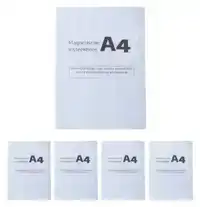 INSTEEKTAS MAGNETISCH A4 5 STUKS