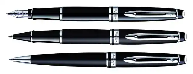 ROLLERPEN WATERMAN EXPERT CT F LAK