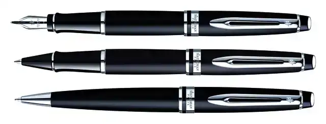 VULPEN WATERMAN EXPERT CT M MAT ZWART