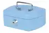 GELDKIST PAVO MET MUNTGLEUF 125X95X60MM