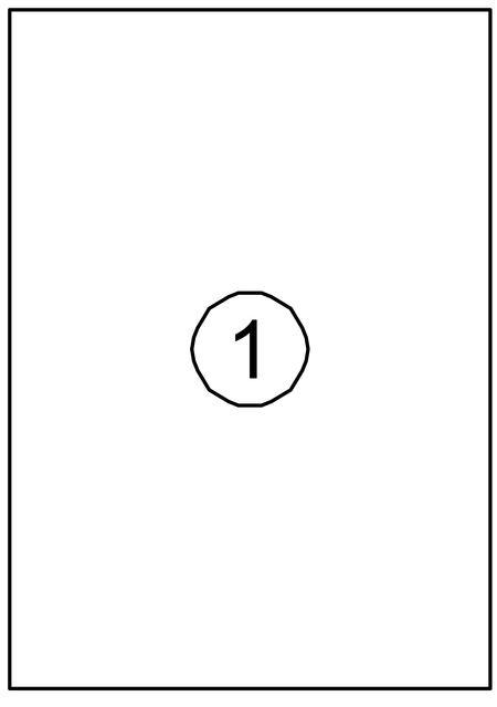 ETIKET QUANTORE 210X297MM 100ST