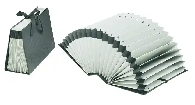 SORTEERORDNER DJOIS DIPLO-LINE FOLIO
