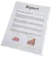 L-MAP ESSELTE STANDAARD COPY SAFE PP A4
