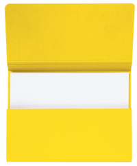POCKETMAP SECOLOR FOLIO RECY KARTON