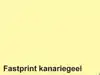 KOPIEERPAPIER QUANTORE COLOUR A4 120GR