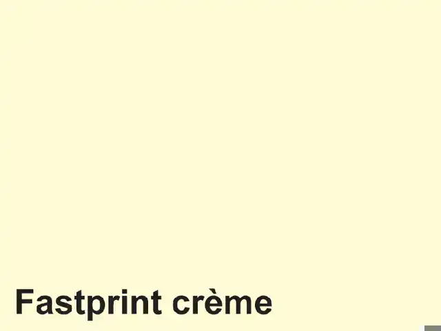 KOPIEERPAPIER QUANTORE COLOUR A4 80GR