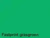 KOPIEERPAPIER QUANTORE COLOUR A4 80GR