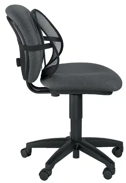 RUGSTEUN FELLOWES OFFICE SUITES GAAS