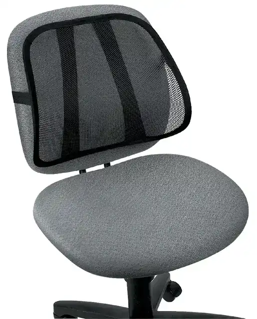 RUGSTEUN FELLOWES OFFICE SUITES GAAS