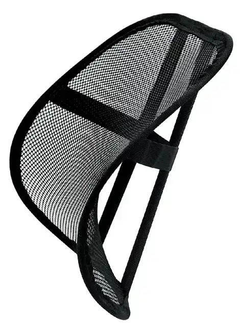 RUGSTEUN FELLOWES OFFICE SUITES GAAS