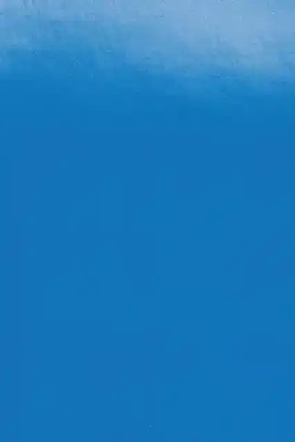 VOORBLAD GBC A4 PP 300MICRON BLAUW