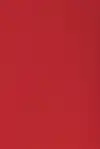 VOORBLAD GBC A4 PP 300MICRON DONKERROOD