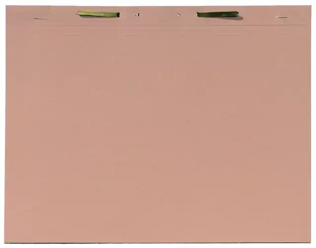 BINNENMAP DJOIS FOLIO SNELHECHTER 300GR