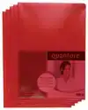 L-MAP QUANTORE A4 PP 0.12 ROOD